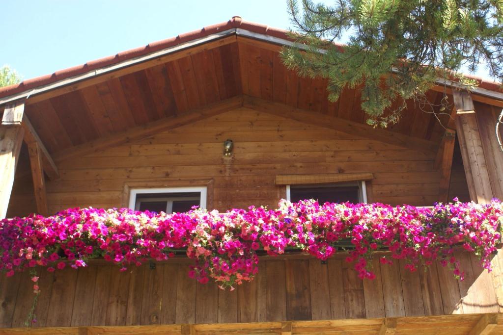 Alpenglow Bed And Breakfast Kimberley Cameră foto